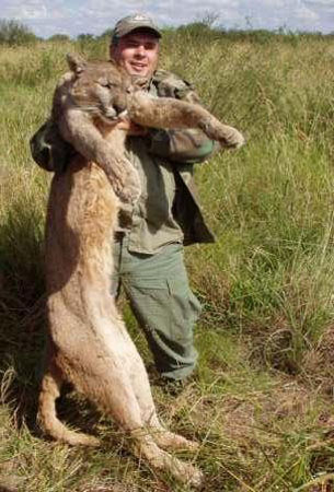cougar8licences