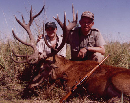 red deer
