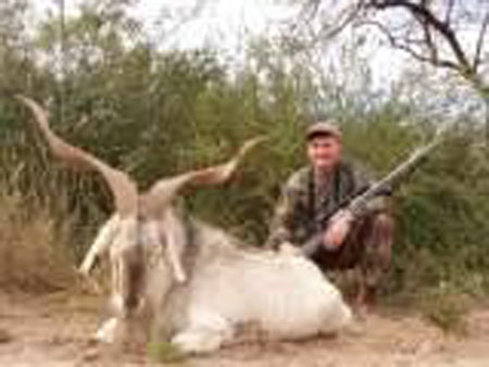wildgoat