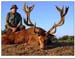 NewSouthAmericaRedDeerRecordSCIScore461-C.I.C.262