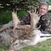 fallow