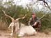 wildgoat